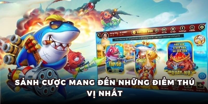 Sảnh cược mang đến những điểm thú vị nhất